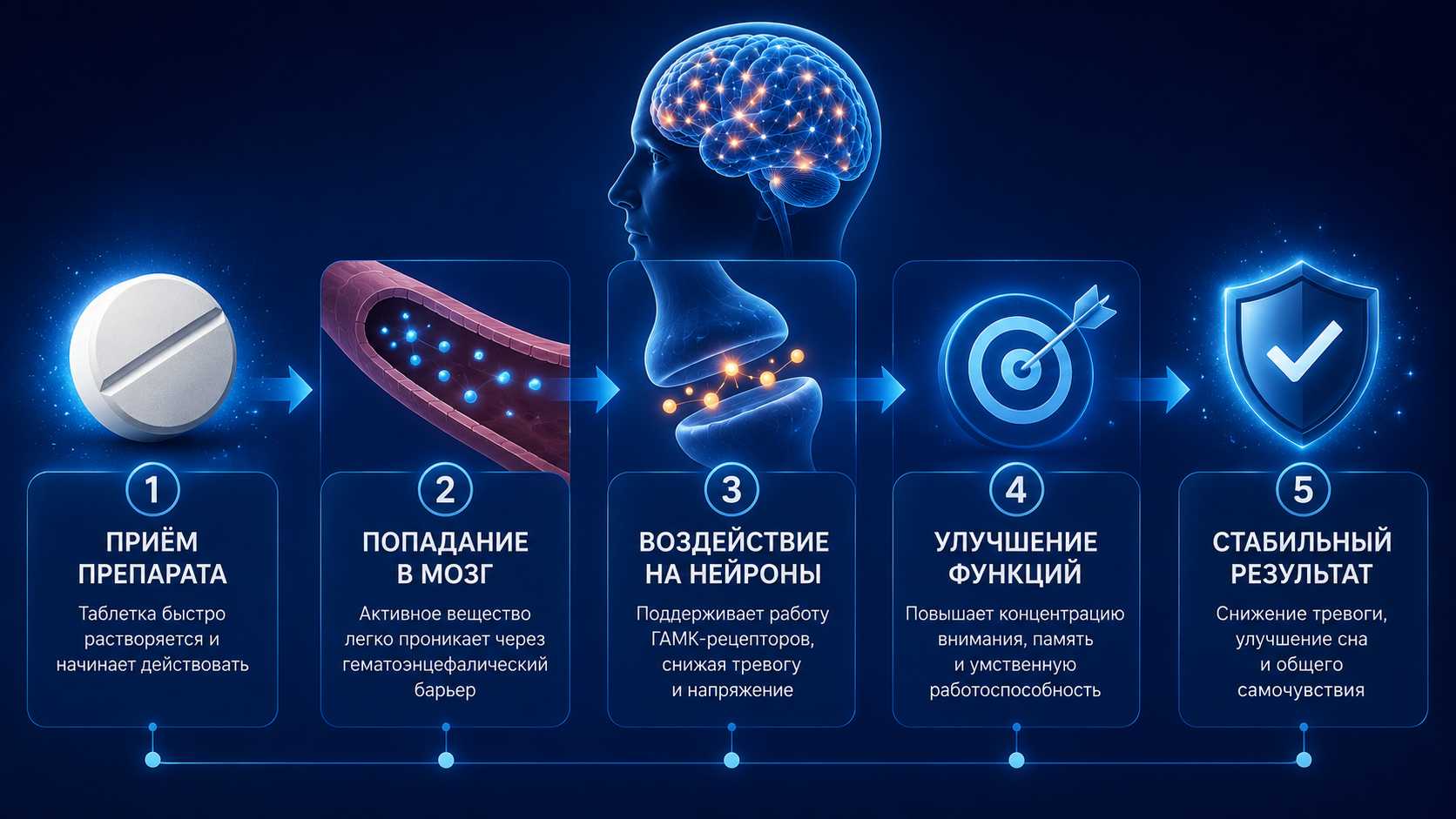 Инфографика: быстрый эффект фенибута &mdash; от стресса к спокойствию и концентрации